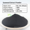 Khumic organic seaweed extract chlorophyll enhancer ferti seaweed extract powder 18%